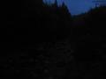 20 : 24