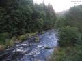 19 : 36