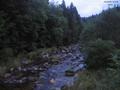 19 : 16