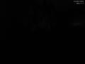20 : 40