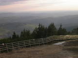 19 : 19