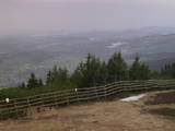 07 : 29