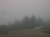 09 : 29