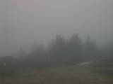 16 : 17