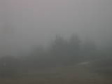 16 : 25