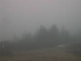 16 : 33