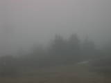 16 : 37