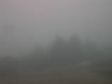 17 : 25