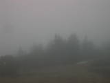 17 : 55