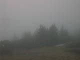 17 : 59