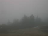 18 : 11