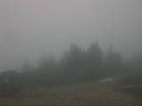 18 : 15