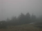 18 : 17