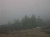 18 : 29