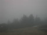 19 : 17