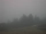 19 : 19