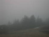 19 : 21