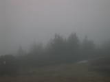 19 : 29