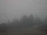19 : 31