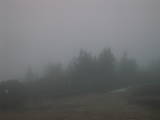 19 : 33
