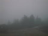 19 : 37