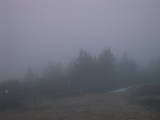 19 : 53