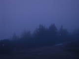 20 : 29