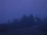 20 : 49