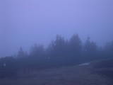 05 : 29