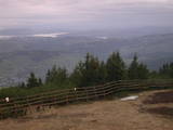 06 : 33
