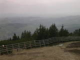 15 : 29