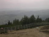 15 : 33