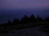 20 : 41
