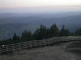 20 : 21
