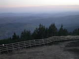 20 : 25