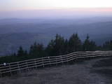 20 : 41