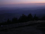 20 : 49