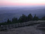 20 : 25