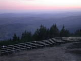 20 : 29
