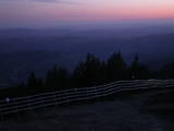 20 : 49