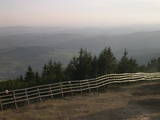 19 : 19