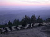 20 : 41