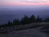 20 : 45