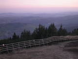 20 : 25