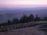 20 : 41