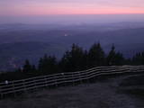 20 : 49