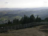 17 : 29