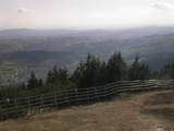 17 : 33