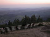 20 : 25