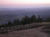 20 : 29